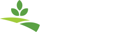 Plant Out Of Place